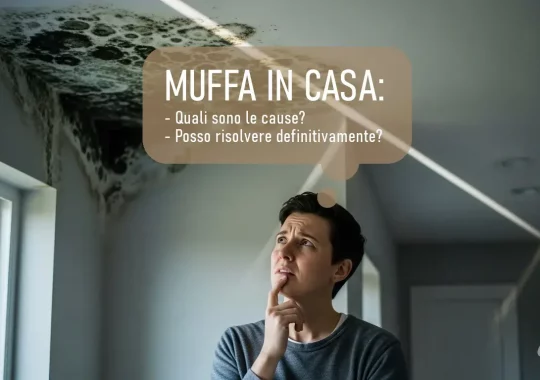 Perché si forma la muffa in casa? Tutte le soluzioni